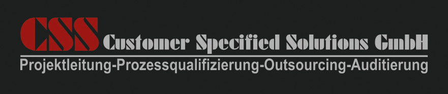 CSS Customer Specified Solutions GmbH, Ihr Partner für  Projektmanagement 